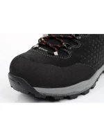 Aku Alterra II GTX M 430353 trekingová obuv