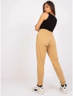 Tepláky TW DR 1033.16P velbloud Tepláky TW DR 1033.16P velbloud