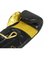 Masters Rbt-Professional boxerské rukavice 01101-10 Masters Rbt-Professional boxerské rukavice 01101-10