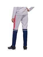 Kalhoty adidas Squadra 25 Training Jr JP3369
