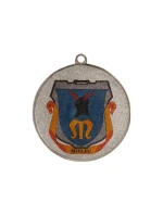 Obecná stříbrná medaile s prostorem pro emblém 50 mm - ocelová medaile s barevným potiskem LuxorJet