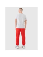 Pánské tepláky typu jogger 4F 4FWMM00TTROM1139-62S