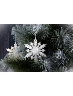 SNĚHOVÁ VLOČKA PŘÍVĚSEK 2KS DESIGN 12 RAMEN