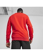 Pánská mikina Puma Team Goal Casuals Crew Neck M 658592 01