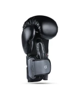 Boxerské rukavice 10oz - Eclipse - Origin Series