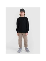 Chlapecká mikina s kapucí, bez pruhů 4F 4FJWSS25TSWSM1713-20S