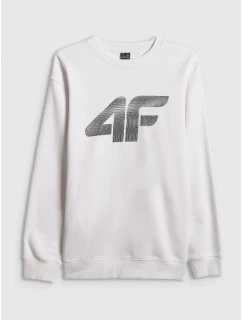 Pánská mikina bez kapuce 4F 4FRAW25TSWSM2493-10S