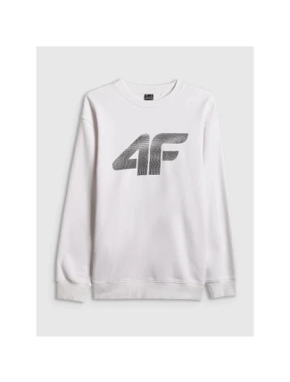 Pánská mikina bez kapuce 4F 4FRAW25TSWSM2493-10S