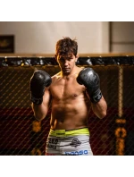 Boxerské rukavice 8oz - Black Dragon - Valor Series