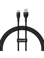 Baseus Flash 2 USB-USB C kabel 100W 1m (černý)
