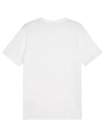 Puma Team Goal Casuals Tee M 658615 04 pánské