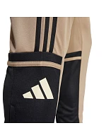 Kalhoty adidas Squadra 25 Training M JP3374 Kalhoty adidas Squadra 25 Training M JP3374