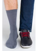 Pánské ponožky Regina Socks Polofroté Bambus