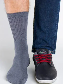 Pánské ponožky Regina Socks Polofroté Bambus