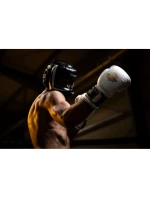 Boxerské rukavice 10oz - Spirit - Valor Series