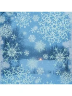 Samolepka na okno 30x42 CM