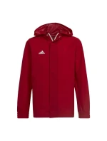 Bunda adidas Entrada 22 All-weather Jr HG6300