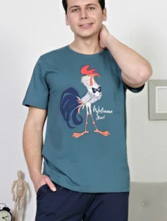 Pánské pyžamo kapri Kohout