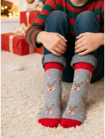 Ponožky Milena 1290-029 Vánoční sob a cukrová třtina 38-46