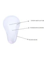 Pánský chránič rozkroku Suspensor - bílý -M