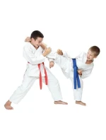 Dětské kimono pro karate + PAS Gratis - DBX BUSHIDO ARK-3102 120 cm