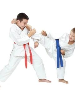 Dětské kimono pro karate + PAS Gratis - DBX BUSHIDO ARK-3102 120 cm