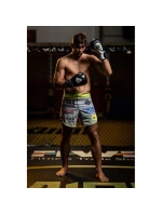 Boxerské rukavice 10oz - Classic White - Origin Series Boxerské rukavice 10oz - Classic White - Origin Series