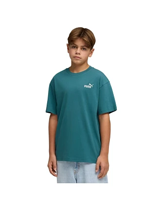 Puma ESS Small No.1 Logo Relaxed Tee green 684920 41