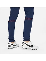 Nike FC Barcelona M kalhoty DH7840-492