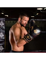 Boxerské rukavice 10oz - Aureos - Valor Series