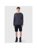 Pánské trekové šortky 4Way Stretch 4F 4FWSS25TFSHM0877-20S