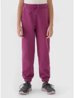 Dívčí tepláky 4F