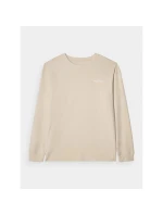 Pánské tričko oversize s potiskem a dlouhým rukávem 4F 4FRAW24TLONM502-12S