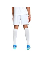Puma Team Goal pánské šortky bílé 705752 04