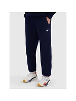 Pánské tepláky typu jogger 4F 4FRMM00TTROM1625-31S