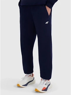 Pánské tepláky typu jogger 4F 4FRMM00TTROM1625-31S
