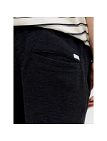 Jack&Jones pánské šortky JPSTJAIDEN COBA STRIPE JOG SHORTS REG SN 12274413 BLACK Jack&Jones pánské šortky JPSTJAIDEN COBA STRIPE JOG SHORTS REG SN 12274413 BLACK
