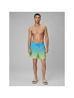 Pánské plážové boardshortky 4F 4FWSS26UBDSM168-33S