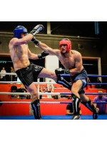 Boxerské rukavice 10oz - Classic White - Origin Series Boxerské rukavice 10oz - Classic White - Origin Series