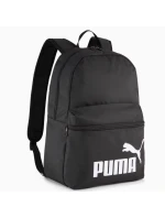Pleack Puma Phase 091164-01
