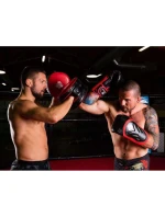 Boxerské rukavice 10oz - Blaze Red - Legacy Series