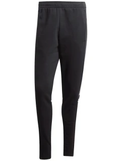 Adidas Squadra 25 Teplákové kalhoty M JE2765