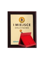 Plastový diplom s barevným dotykovým laminátem + pouzdro 275x220 mm