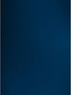 The One Towelling Recycled 100 Plážový ručník "Recycled" 48.1061 navy