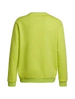 Entrada 22 Jr dětská mikina HC5043 - Adidas