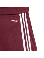 Šortky adidas Squadra 25 M JC8677