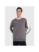 Pánská mikina s kapucí 4F 4FRAW25TSWSM2457-23S bez svetru