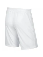 Juniorské fotbalové šortky Nike Park II 725988-100