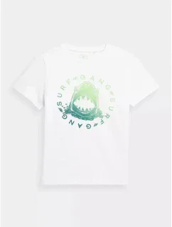 Chlapecké tričko 4FJSS23TTSHM283-10S - 4F