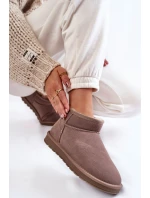 Dámské semišové nízké boty do sněhu Šede Shelie